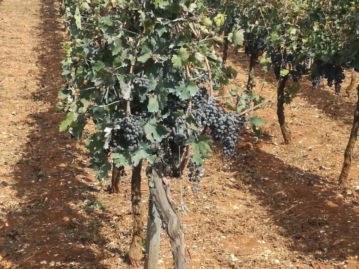 Agriturismo Grotta Di Figazzano Cisternino Luaran gambar
