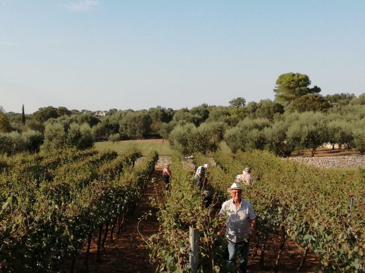 Agriturismo Grotta Di Figazzano Cisternino Luaran gambar