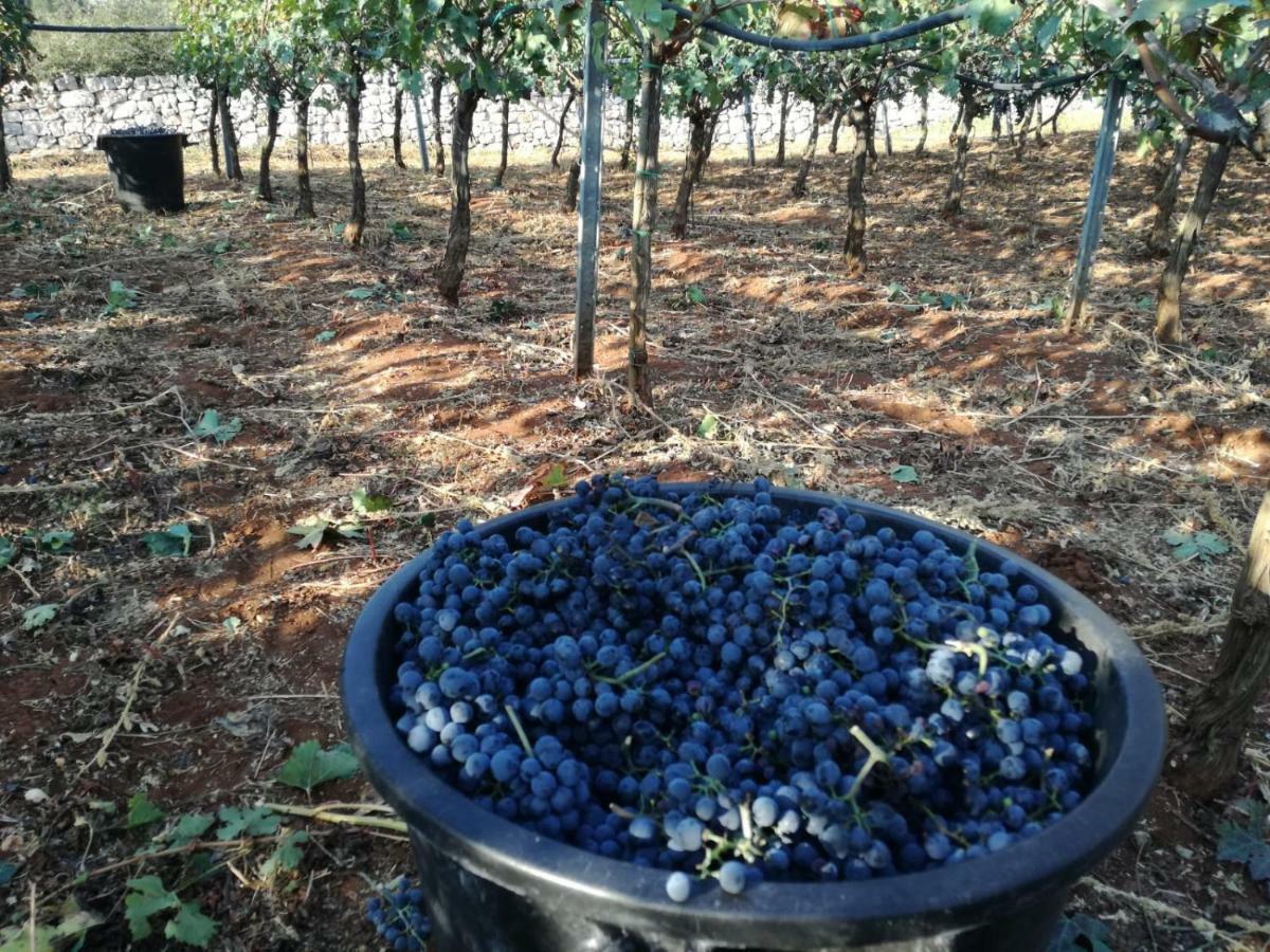Agriturismo Grotta Di Figazzano Cisternino Luaran gambar